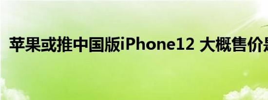 苹果或推中国版iPhone12 大概售价是多少