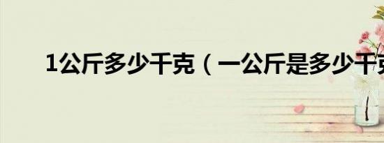 1公斤多少千克（一公斤是多少千克）