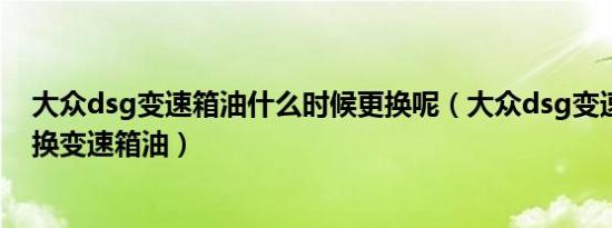 大众dsg变速箱油什么时候更换呢（大众dsg变速箱多久更换变速箱油）