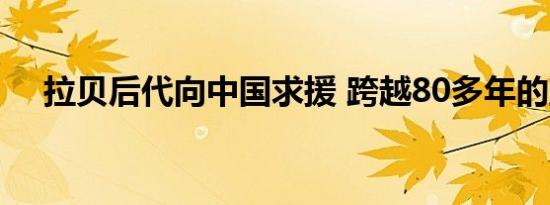 拉贝后代向中国求援 跨越80多年的互助