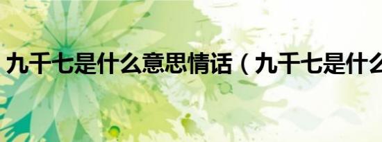 九千七是什么意思情话（九千七是什么意思）