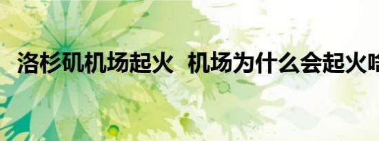 洛杉矶机场起火 机场为什么会起火啥情况