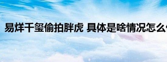 易烊千玺偷拍胖虎 具体是啥情况怎么偷拍的