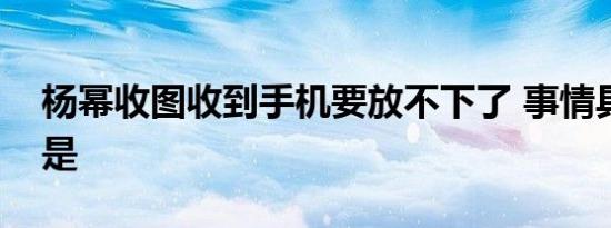 杨幂收图收到手机要放不下了 事情具体经过是
