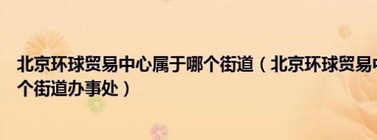 北京环球贸易中心属于哪个街道（北京环球贸易中心属于哪个街道办事处）