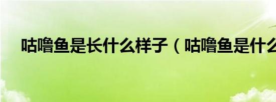 咕噜鱼是长什么样子（咕噜鱼是什么鱼）