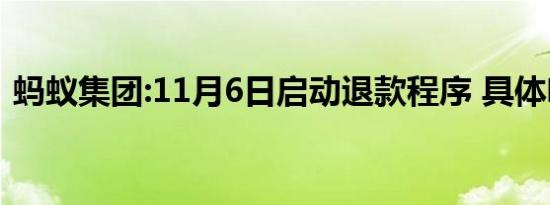 蚂蚁集团:11月6日启动退款程序 具体啥情况