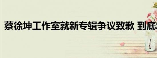 蔡徐坤工作室就新专辑争议致歉 到底怎样的