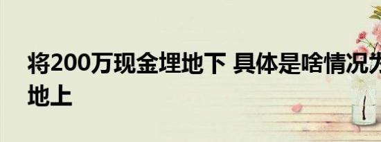 将200万现金埋地下 具体是啥情况为什么埋地上