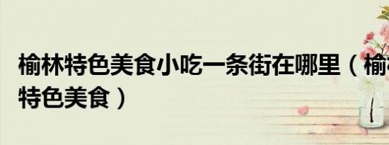 榆林特色美食小吃一条街在哪里（榆林有什么特色美食）