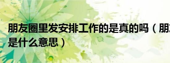 朋友圈里发安排工作的是真的吗（朋友圈安排是什么意思）