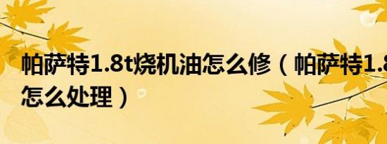 帕萨特1.8t烧机油怎么修（帕萨特1.8t烧机油怎么处理）