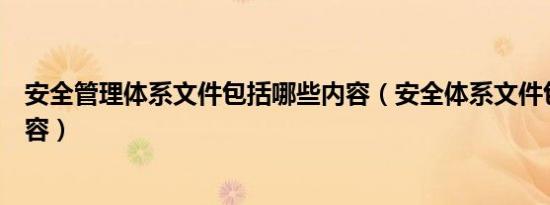 安全管理体系文件包括哪些内容（安全体系文件包括哪些内容）