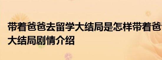 带着爸爸去留学大结局是怎样带着爸爸去留学大结局剧情介绍