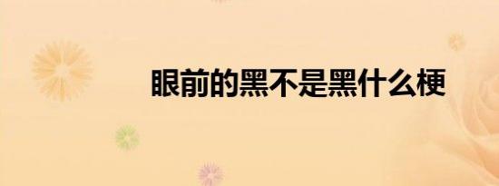 眼前的黑不是黑什么梗