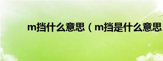 m挡什么意思（m挡是什么意思）