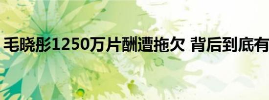 毛晓彤1250万片酬遭拖欠 背后到底有何内幕