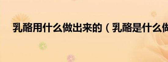 乳酪用什么做出来的（乳酪是什么做的）