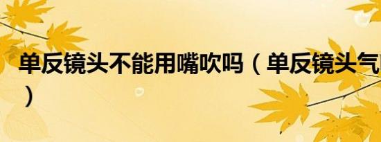 单反镜头不能用嘴吹吗（单反镜头气吹怎么用）