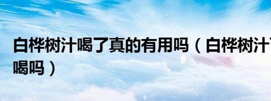 白桦树汁喝了真的有用吗（白桦树汁可以直接喝吗）