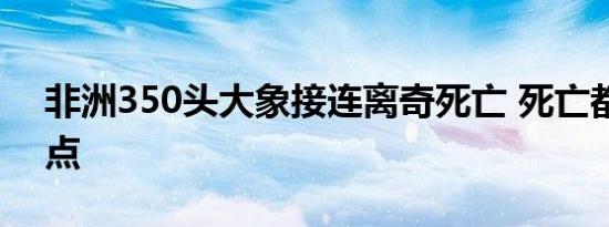 非洲350头大象接连离奇死亡 死亡都有共同点