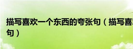 描写喜欢一个东西的夸张句（描写喜欢的夸张句）