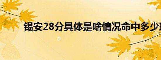 锡安28分具体是啥情况命中多少球
