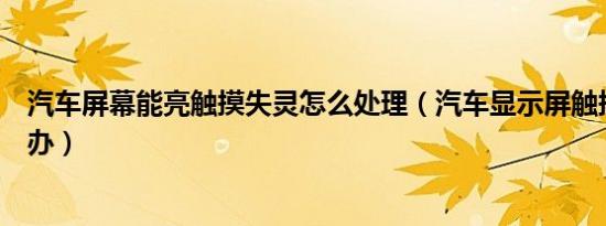 汽车屏幕能亮触摸失灵怎么处理（汽车显示屏触摸失灵怎么办）