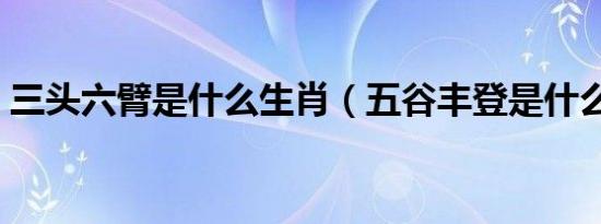 三头六臂是什么生肖（五谷丰登是什么生肖）