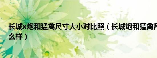长城x炮和猛禽尺寸大小对比照（长城炮和猛禽尺寸对比怎么样）