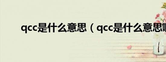 qcc是什么意思（qcc是什么意思啊）