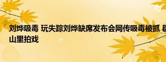 刘烨吸毒 玩失踪刘烨缺席发布会网传吸毒被抓 辟谣：哥在山里拍戏