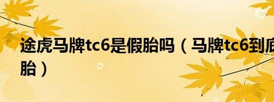 途虎马牌tc6是假胎吗（马牌tc6到底是什么胎）