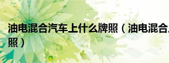 油电混合汽车上什么牌照（油电混合上什么牌照）