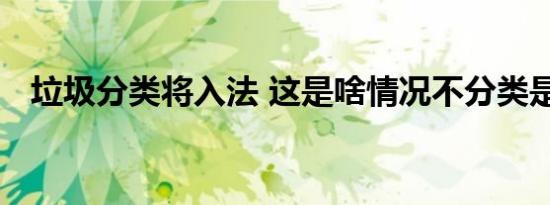 垃圾分类将入法 这是啥情况不分类是犯法