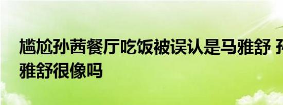 尴尬孙茜餐厅吃饭被误认是马雅舒 孙茜跟马雅舒很像吗
