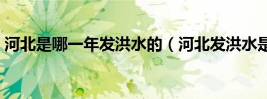 河北是哪一年发洪水的（河北发洪水是哪年）