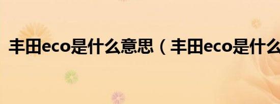 丰田eco是什么意思（丰田eco是什么意思）