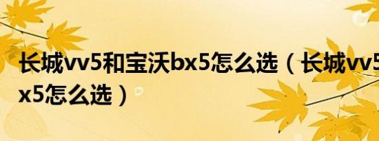 长城vv5和宝沃bx5怎么选（长城vv5和宝沃bx5怎么选）