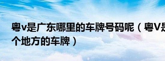 粤v是广东哪里的车牌号码呢（粤V是广东哪个地方的车牌）