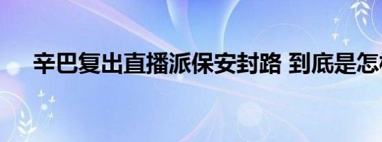 辛巴复出直播派保安封路 到底是怎样的