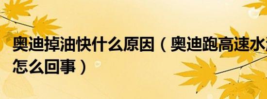 奥迪掉油快什么原因（奥迪跑高速水温往下掉怎么回事）
