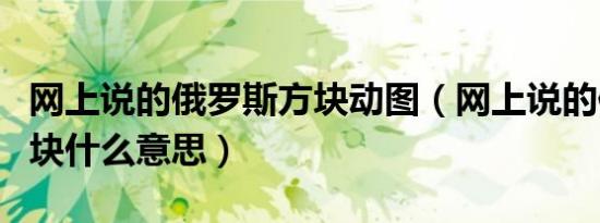 网上说的俄罗斯方块动图（网上说的俄罗斯方块什么意思）