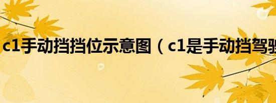 c1手动挡挡位示意图（c1是手动挡驾驶证吗）