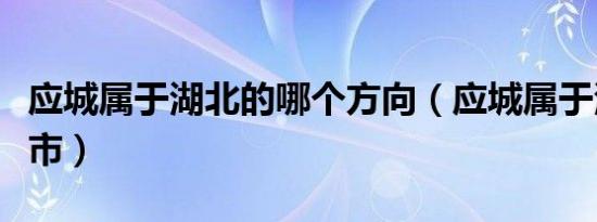 应城属于湖北的哪个方向（应城属于湖北哪个市）