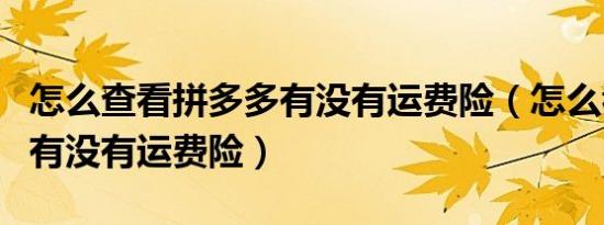 怎么查看拼多多有没有运费险（怎么看拼多多有没有运费险）