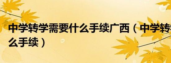 中学转学需要什么手续广西（中学转学需要什么手续）