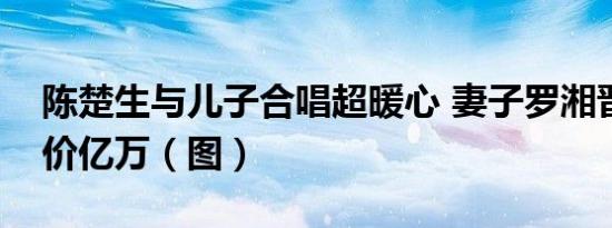 陈楚生与儿子合唱超暖心 妻子罗湘晋被曝身价亿万（图）