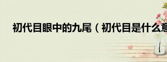 初代目眼中的九尾（初代目是什么意思）
