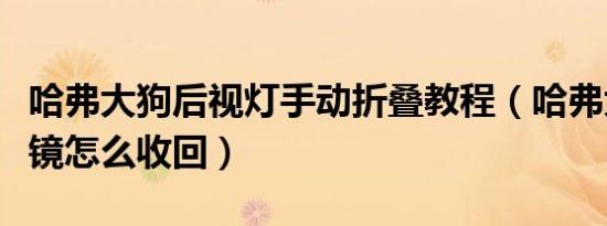 哈弗大狗后视灯手动折叠教程（哈弗大狗后视镜怎么收回）